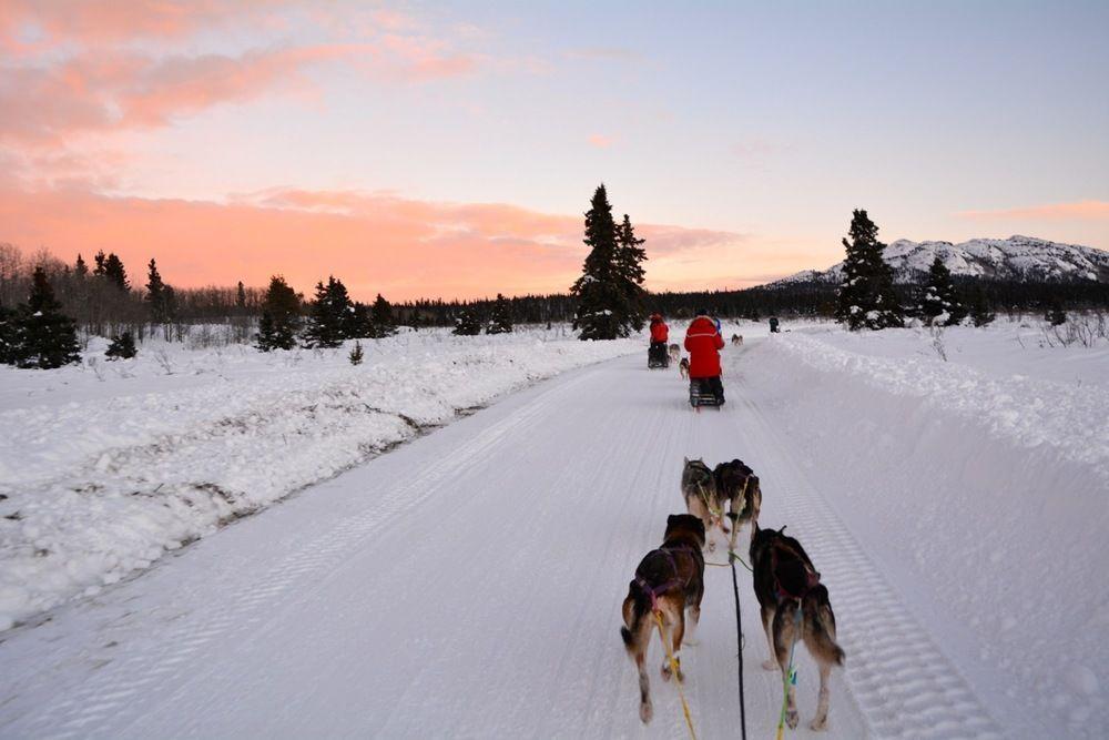 Hotel Sundog Retreat Whitehorse Exteriér fotografie