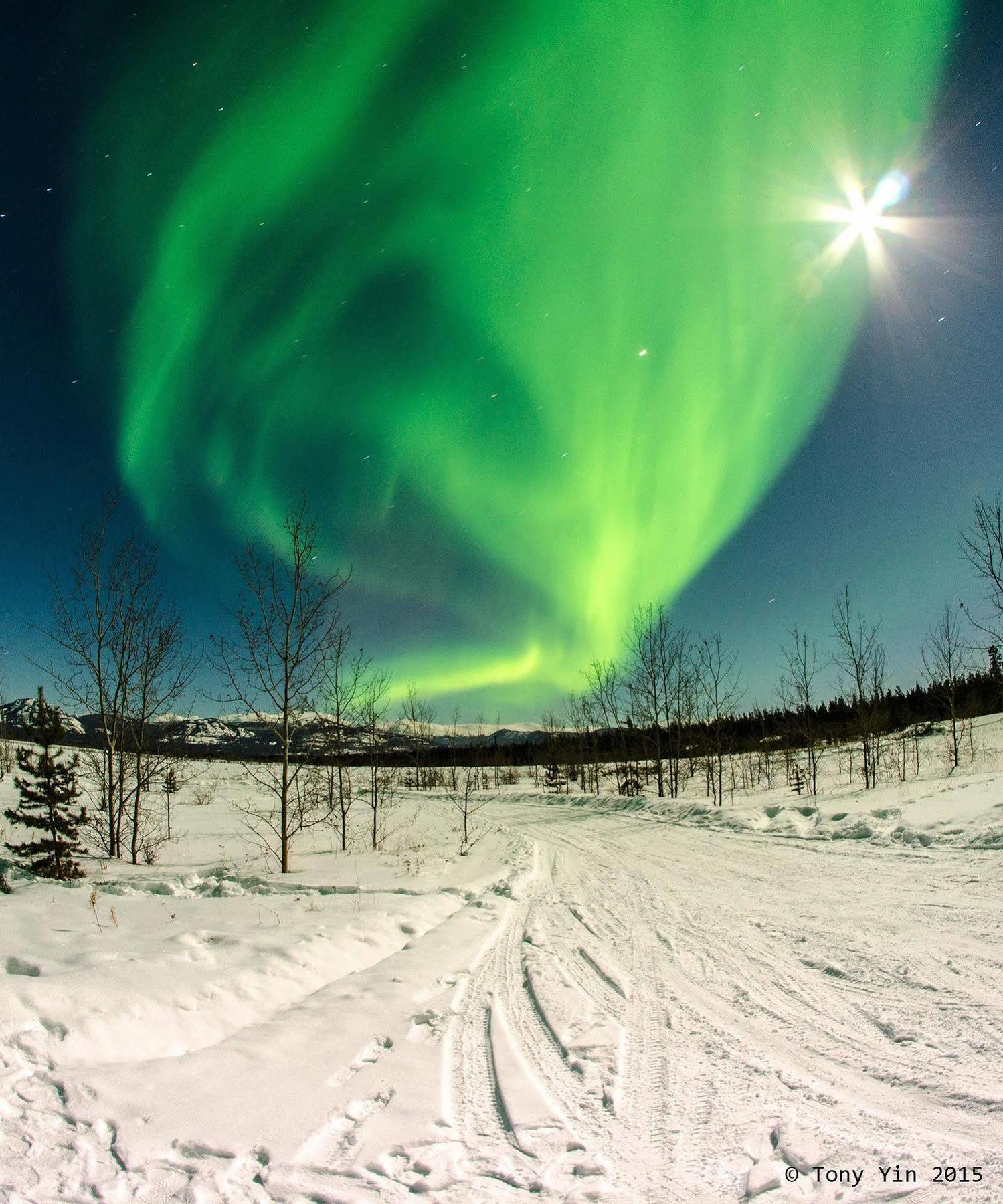 Hotel Sundog Retreat Whitehorse Exteriér fotografie